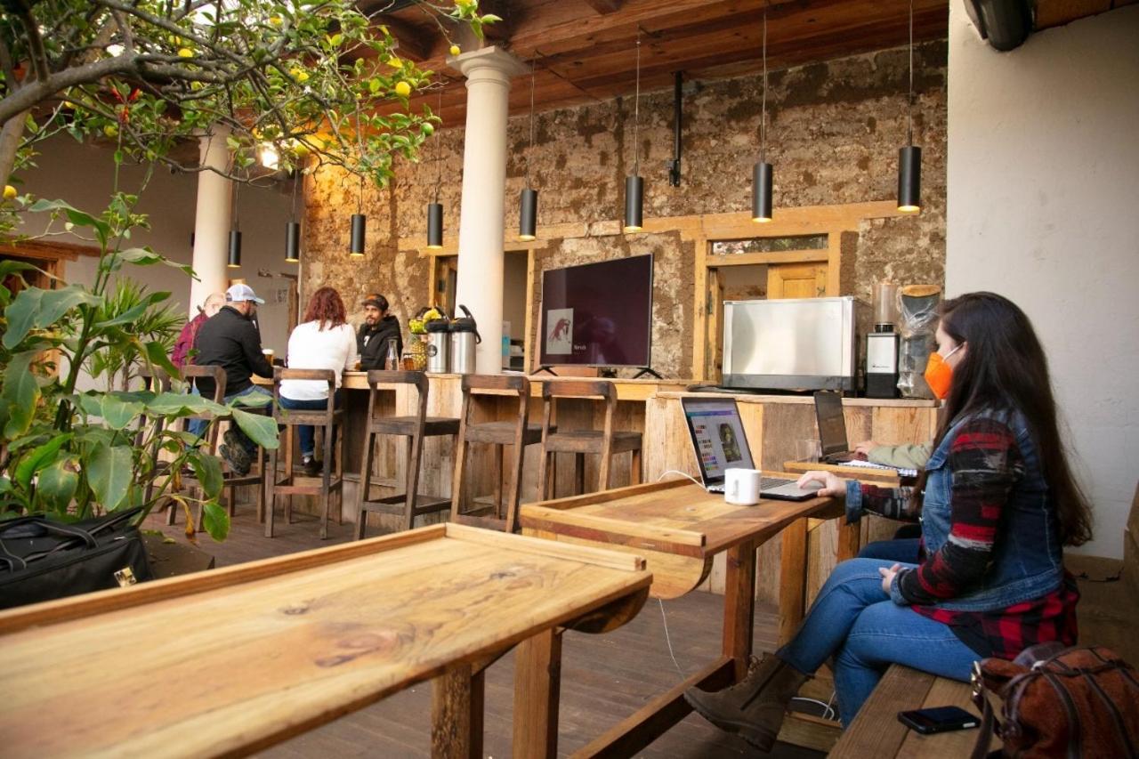 The Coffee Bean Hostel San Cristóbal de Las Casas エクステリア 写真
