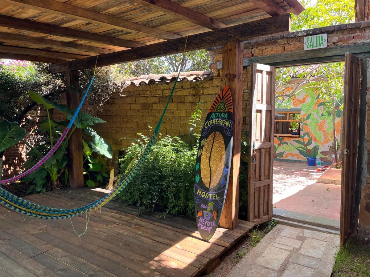The Coffee Bean Hostel San Cristóbal de Las Casas エクステリア 写真