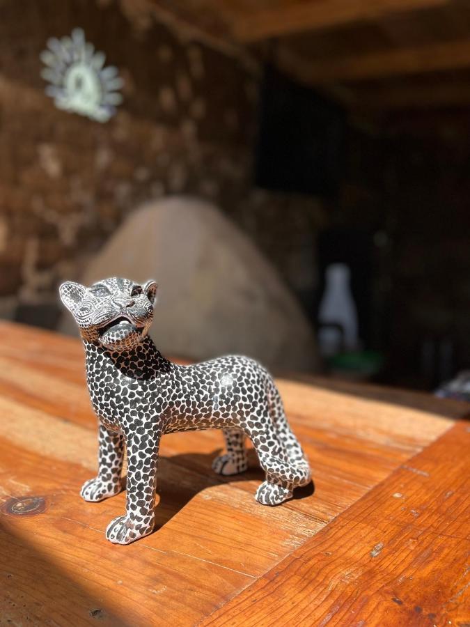 The Coffee Bean Hostel San Cristóbal de Las Casas エクステリア 写真