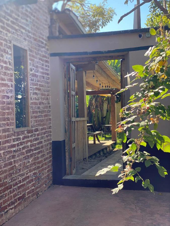 The Coffee Bean Hostel San Cristóbal de Las Casas エクステリア 写真