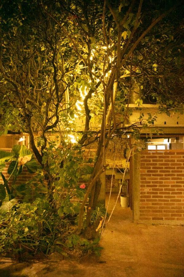 The Coffee Bean Hostel San Cristóbal de Las Casas エクステリア 写真