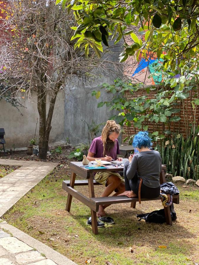 The Coffee Bean Hostel San Cristóbal de Las Casas エクステリア 写真