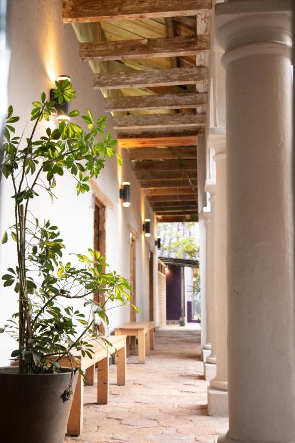 The Coffee Bean Hostel San Cristóbal de Las Casas エクステリア 写真