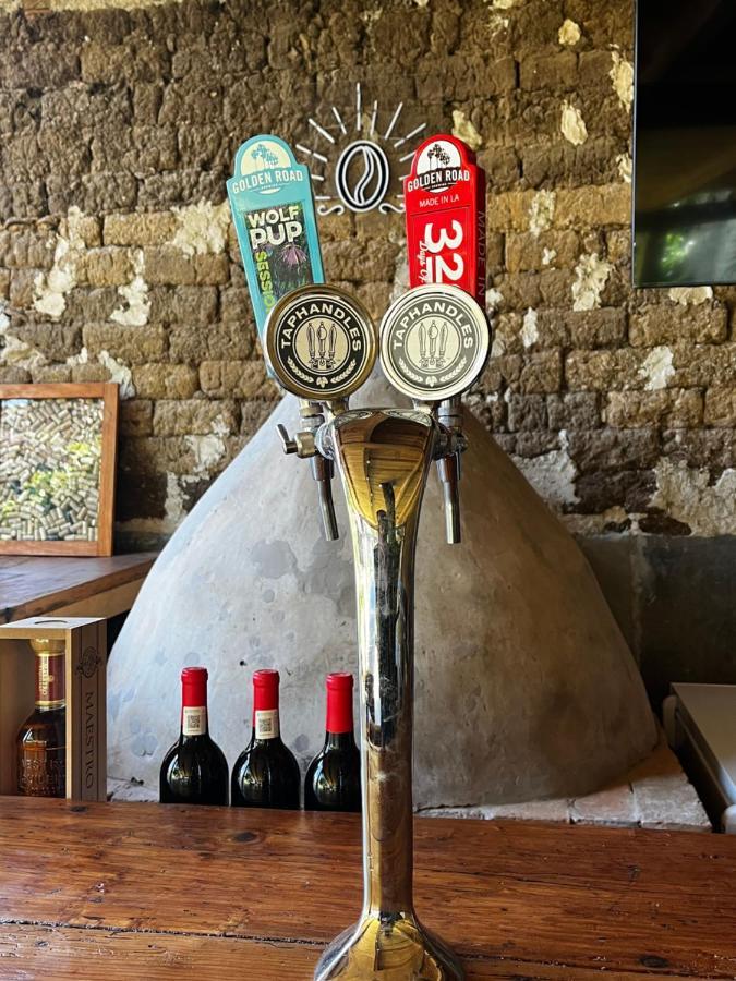 The Coffee Bean Hostel San Cristóbal de Las Casas エクステリア 写真