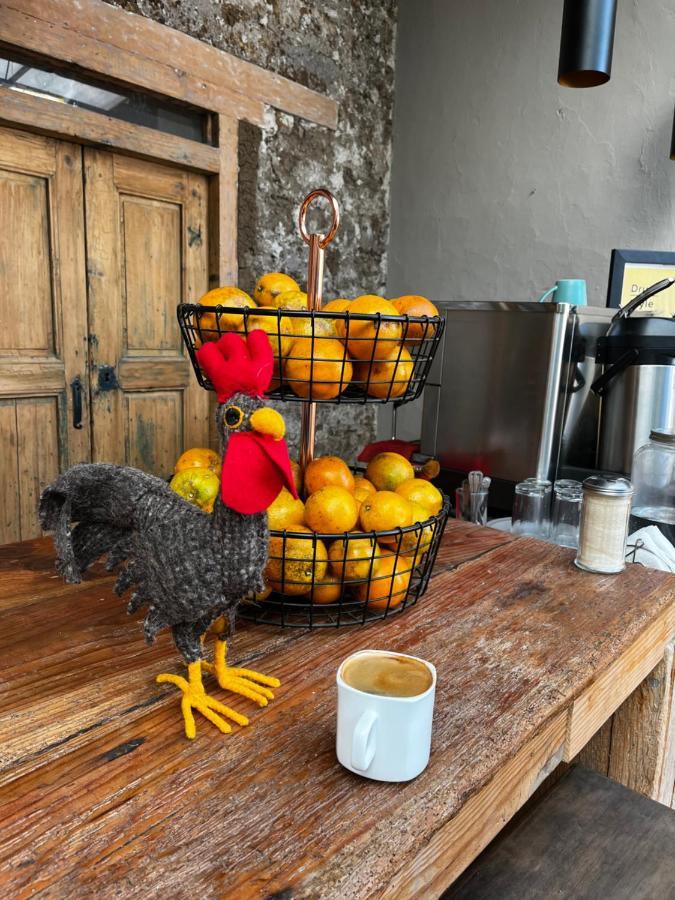 The Coffee Bean Hostel San Cristóbal de Las Casas エクステリア 写真