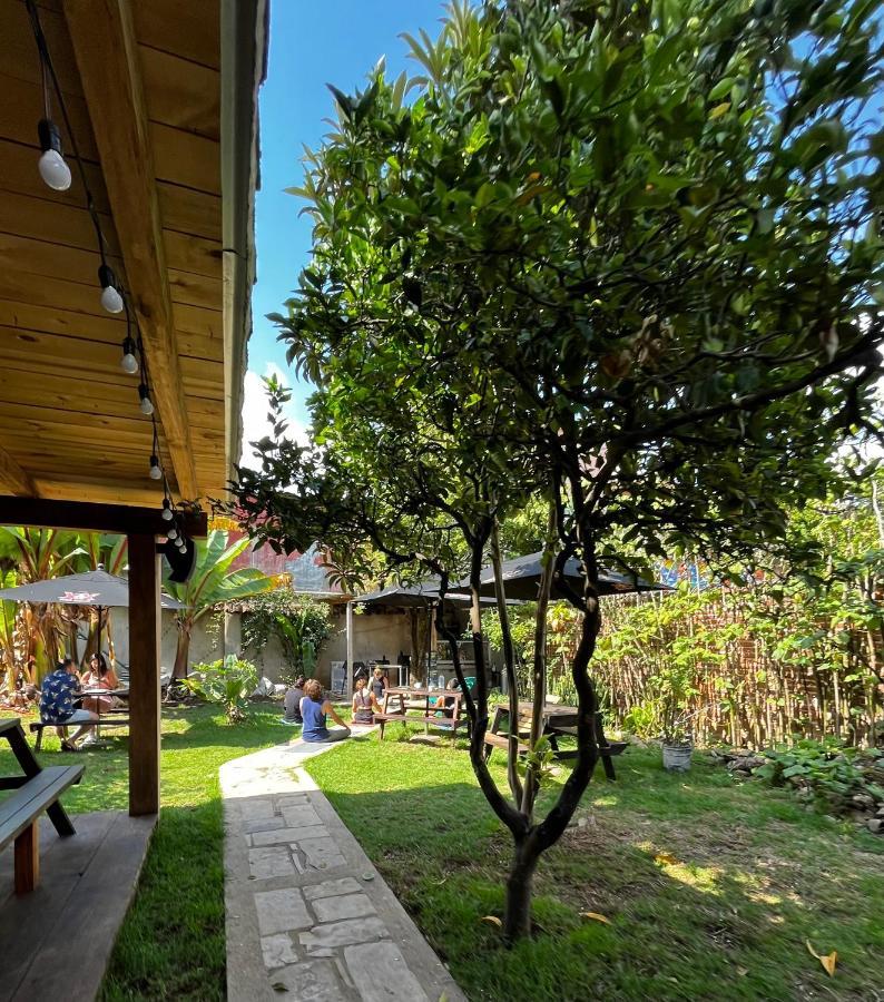The Coffee Bean Hostel San Cristóbal de Las Casas エクステリア 写真