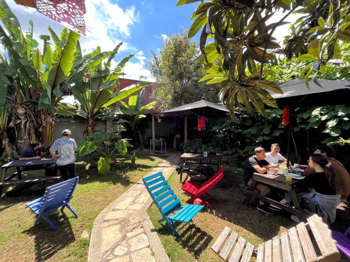 The Coffee Bean Hostel San Cristóbal de Las Casas エクステリア 写真