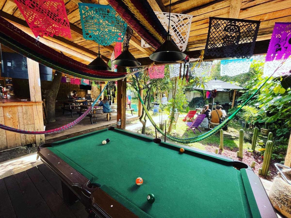 The Coffee Bean Hostel San Cristóbal de Las Casas エクステリア 写真