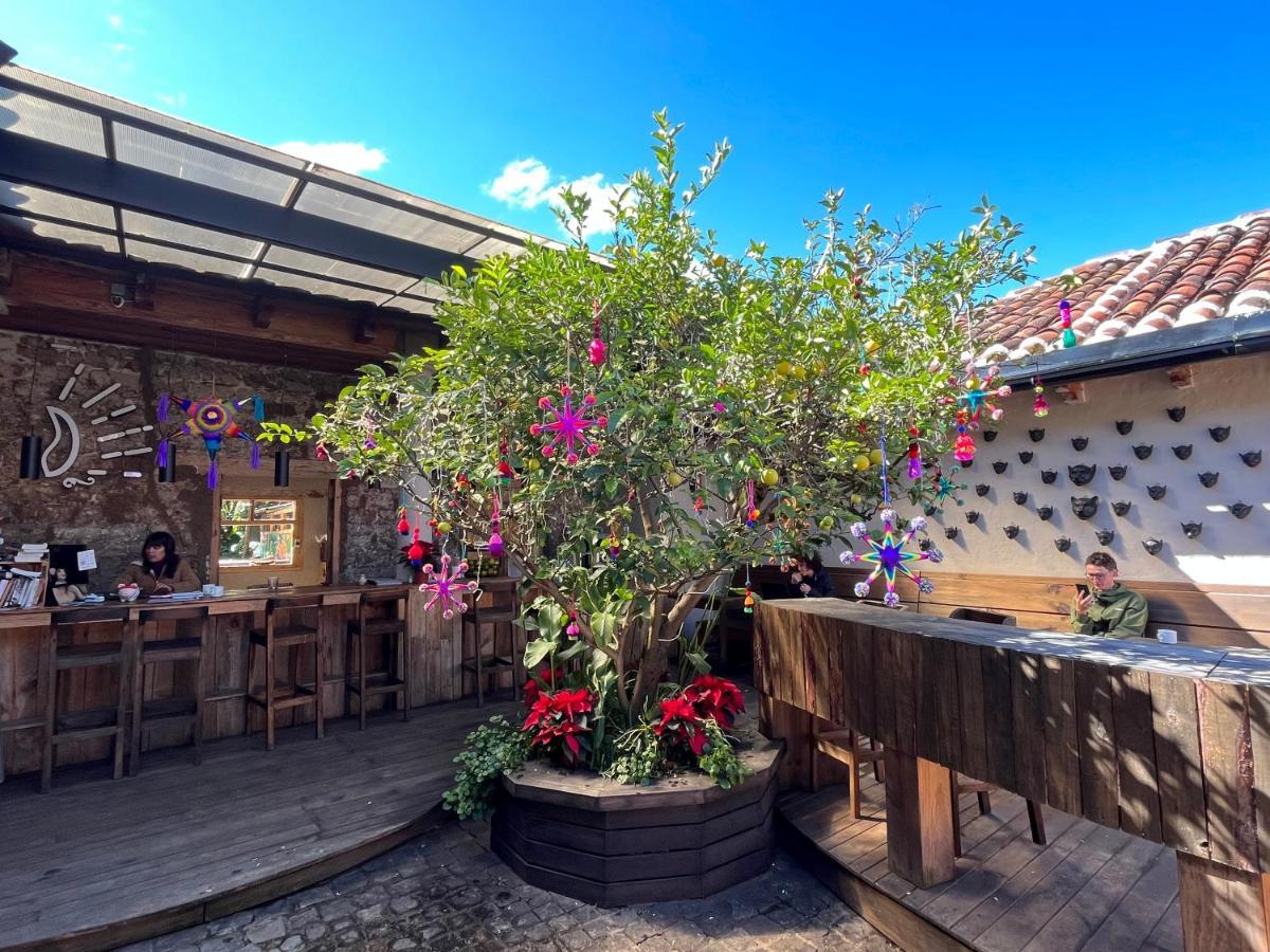 The Coffee Bean Hostel San Cristóbal de Las Casas エクステリア 写真