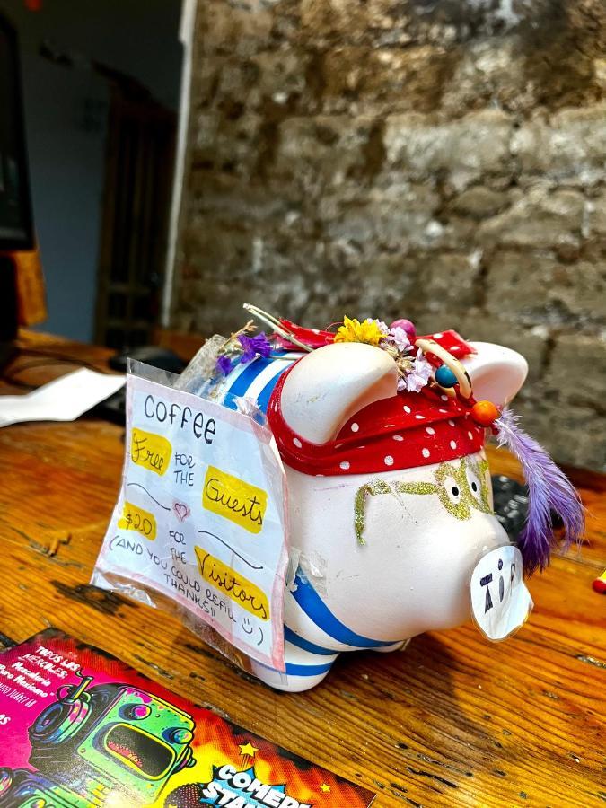 The Coffee Bean Hostel San Cristóbal de Las Casas エクステリア 写真