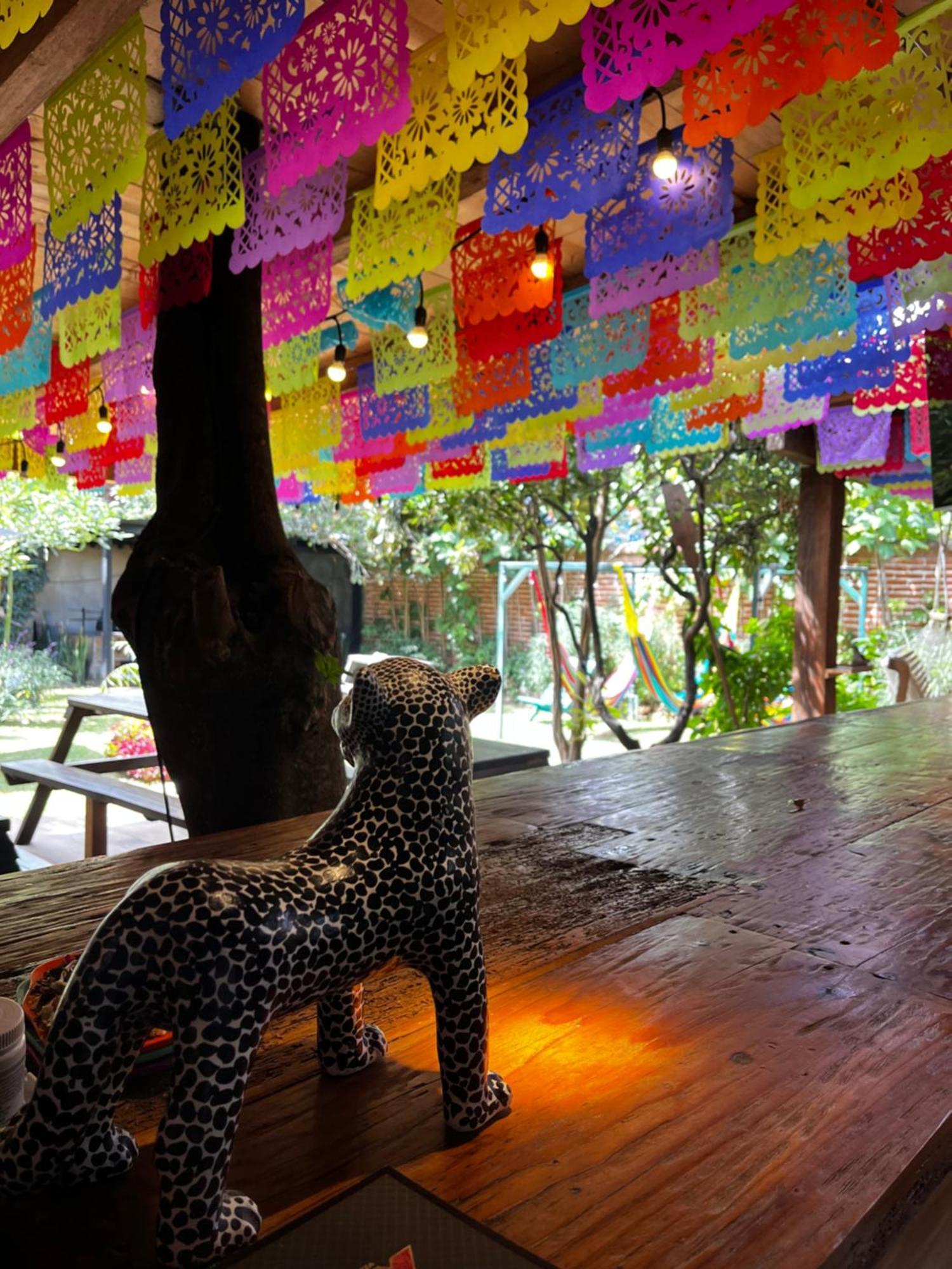 The Coffee Bean Hostel San Cristóbal de Las Casas エクステリア 写真