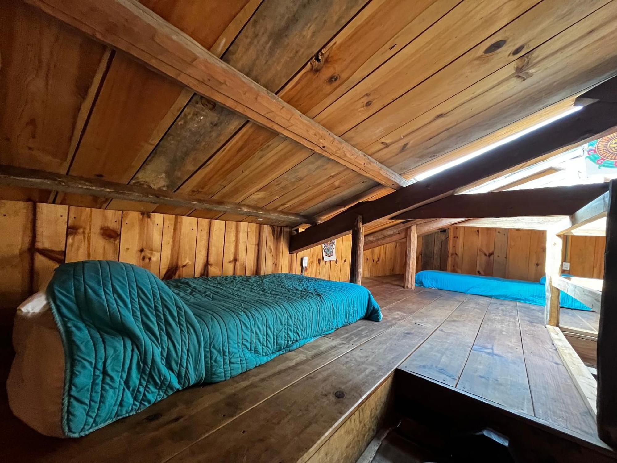 The Coffee Bean Hostel San Cristóbal de Las Casas エクステリア 写真