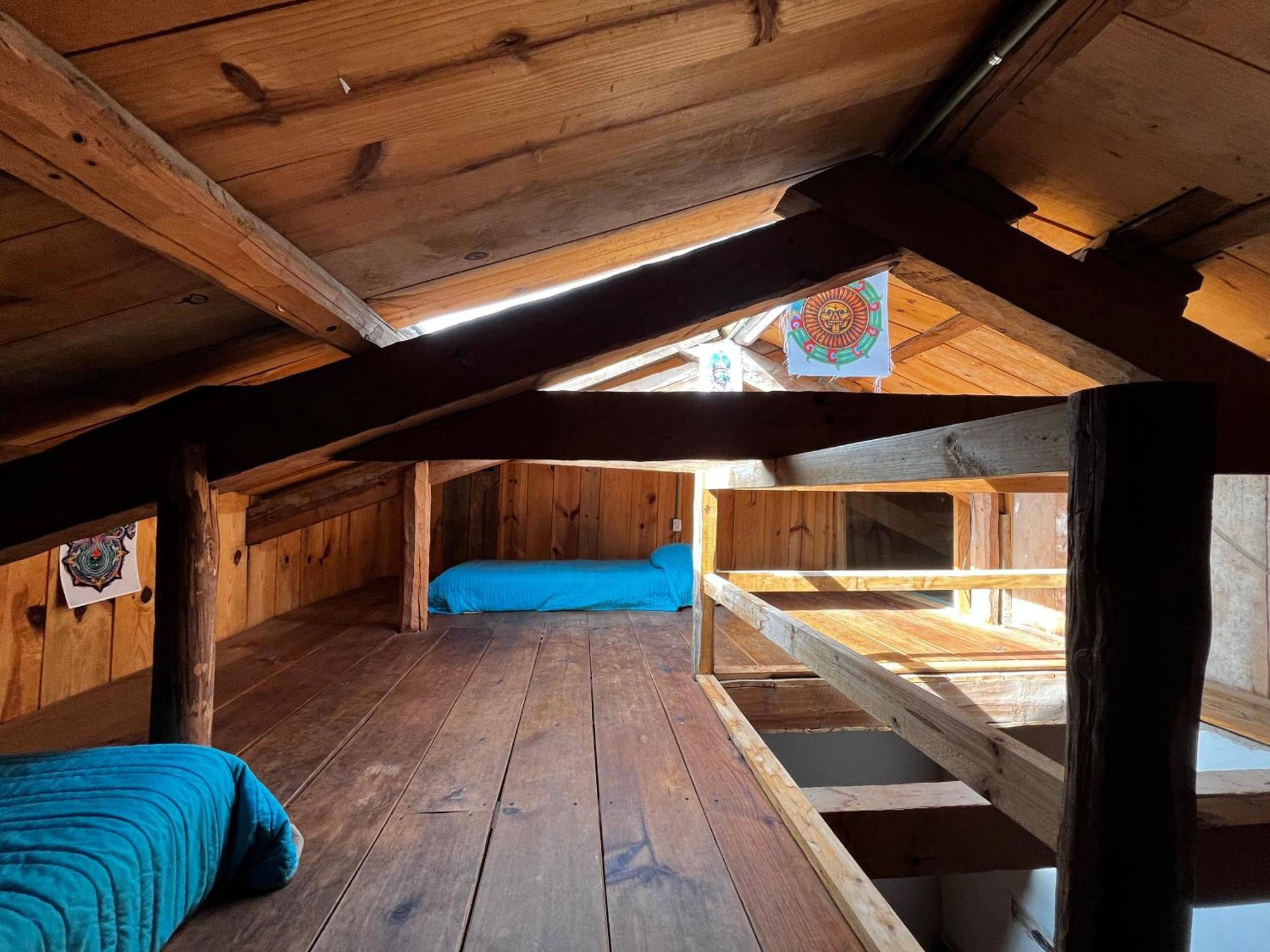 The Coffee Bean Hostel San Cristóbal de Las Casas エクステリア 写真