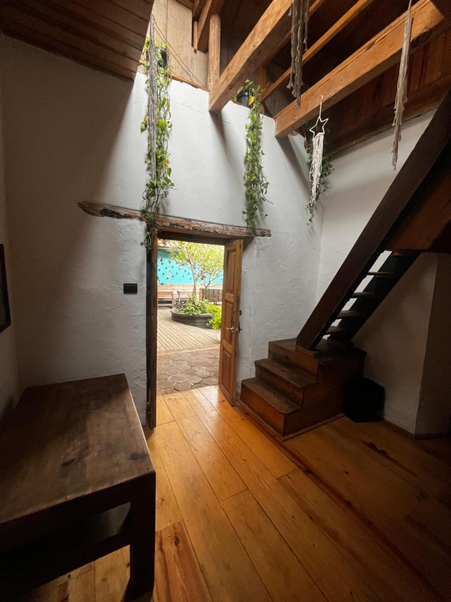 The Coffee Bean Hostel San Cristóbal de Las Casas エクステリア 写真