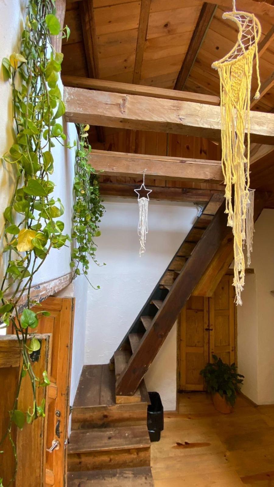 The Coffee Bean Hostel San Cristóbal de Las Casas エクステリア 写真